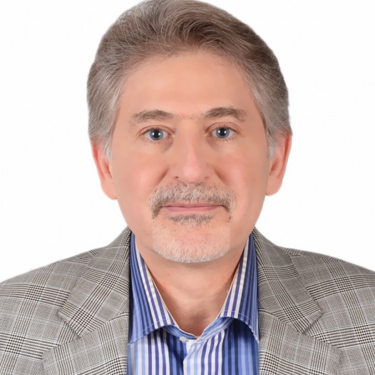 دکتر سیدحمید حسینی
